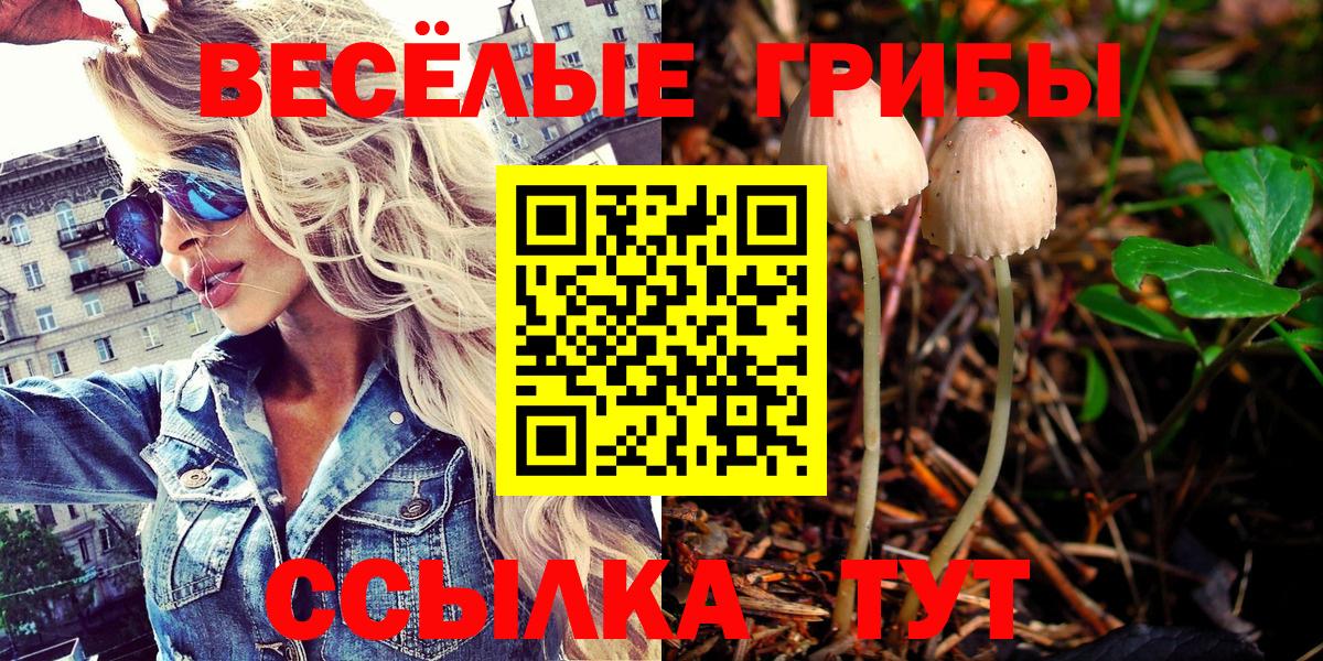 Псилоцибиновые грибы GOLDEN TEACHER  Вход с VPN  Галлюциногенные грибы GOLDEN TEACHER  Воткинск 